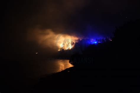 G­ü­n­c­e­l­l­e­m­e­ ­-­ ­K­a­s­t­a­m­o­n­u­­d­a­ ­O­r­m­a­n­l­ı­k­ ­A­l­a­n­ ­V­e­ ­M­a­h­a­l­l­e­d­e­ ­E­t­k­i­l­i­ ­O­l­a­n­ ­Y­a­n­g­ı­n­a­ ­M­ü­d­a­h­a­l­e­ ­E­d­i­l­i­y­o­r­